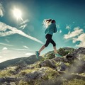 Family Wellness Chiropractic