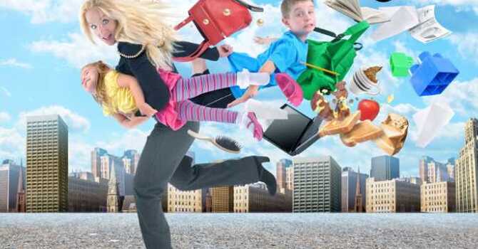 Frazzled and Unraveled in Chaosville image